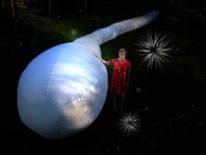 withe-whale01